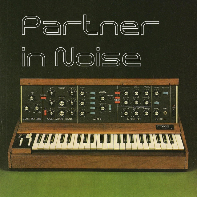 Partner in Noise